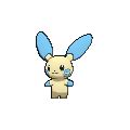 minun serebii